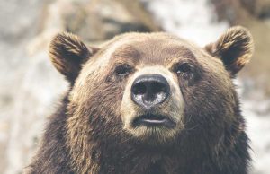 Spring Accessory With Personality